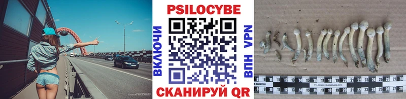 Галлюциногенные грибы Cubensis  Пестово 
